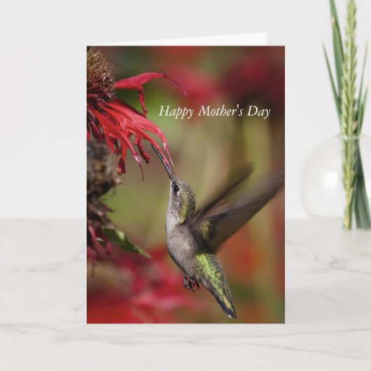 Hummingbird Muttertagskarte Karte (Vorderseite)