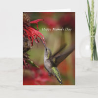 Hummingbird Muttertagskarte