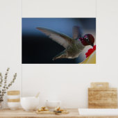Hummingbird Nah Up ~print~ Poster (Küche)