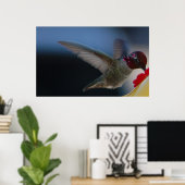 Hummingbird Nah Up ~print~ Poster (Heimbüro)