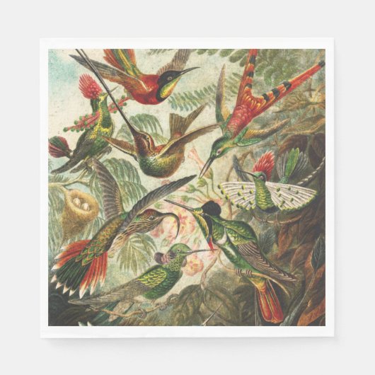 Hummingbird Napkins oder Decoupage Serviette (Vorderseite)