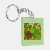 Hummingbird Nest Honeysuckle Schlüsselanhänger (Vorderseite links)