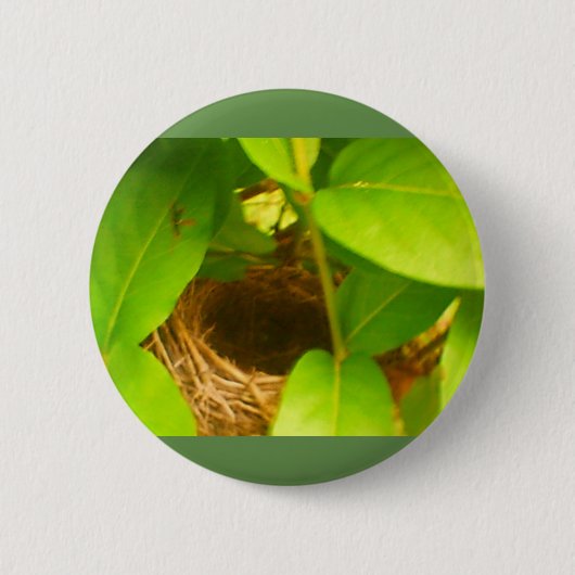 Hummingbird Nest Nestled in Honeysuckles Button (Vorderseite)