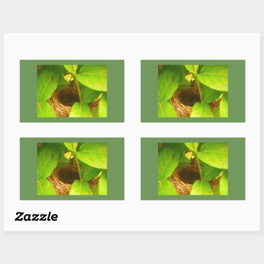 Hummingbird Nest Rechteckkleber Rechteckiger Aufkleber (Blatt)