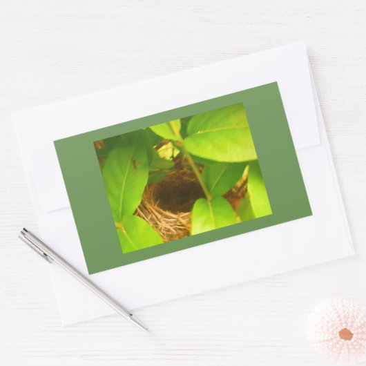 Hummingbird Nest Rechteckkleber Rechteckiger Aufkleber (Umschlag)