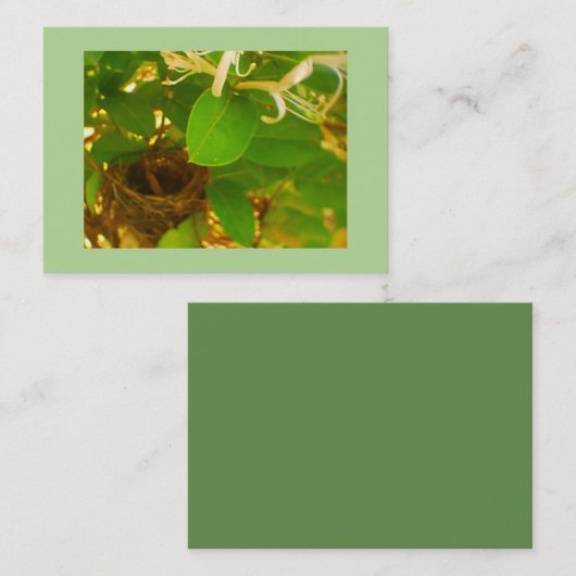 Hummingbird Nest Visitenkarte (Vorne/Hinten)
