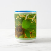 Hummingbird Nest Zweifarbige Tasse (Mittel)