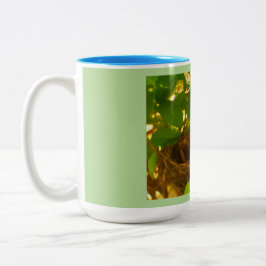 Hummingbird Nest Zweifarbige Tasse