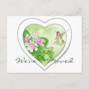 Hummingbird New Address, New Zuhause Postcard Ankündigungspostkarte