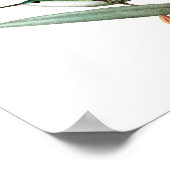 Hummingbird No.12 Antique Vogel Poster Print. (Ecke)