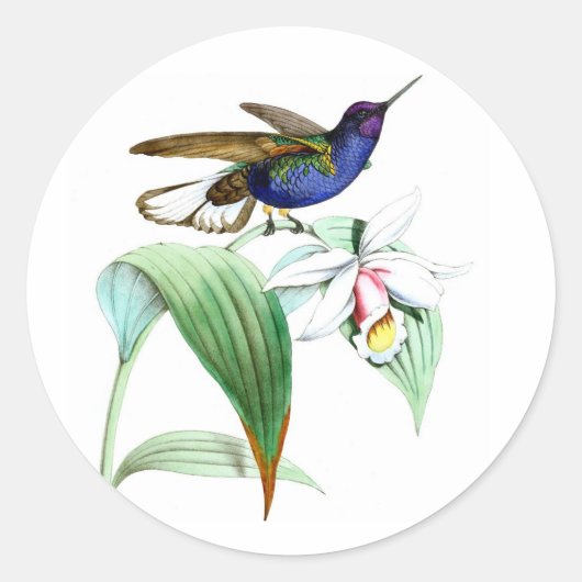 Hummingbird no.1 violet, lila Vogel, weiße Blume Runder Aufkleber (Vorderseite)