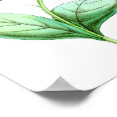 Hummingbird No.3 Antique Natural History Print. Poster (Ecke)