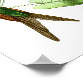 Hummingbird No.4 Antique Natural History Print. Poster (Ecke)