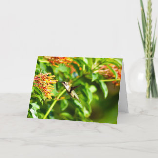 Hummingbird Note Card<Blank Inside> Dankeskarte