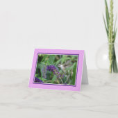 Hummingbird Note Card Karte (Vorderseite)