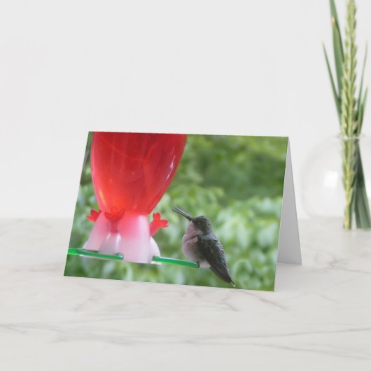 Hummingbird Note Card Karte (Vorderseite)