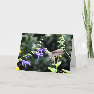 Hummingbird Note Card Karte