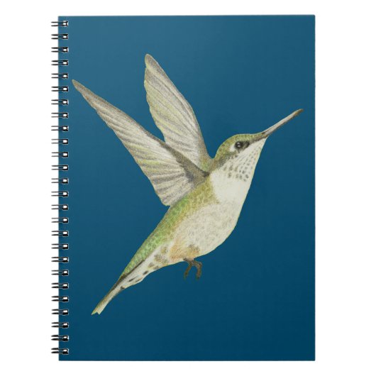 Hummingbird Notebook Notizblock (Vorderseite)