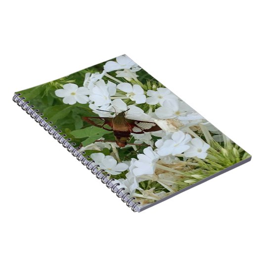 Hummingbird Notebook Notizblock (Rechte Seite)