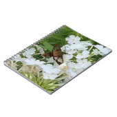 Hummingbird Notebook Notizblock (Linke Seite)