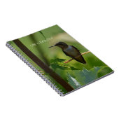 Hummingbird on Branch (my photography) Notizblock (Rechte Seite)