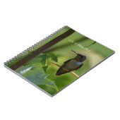 Hummingbird on Branch (my photography) Notizblock (Linke Seite)