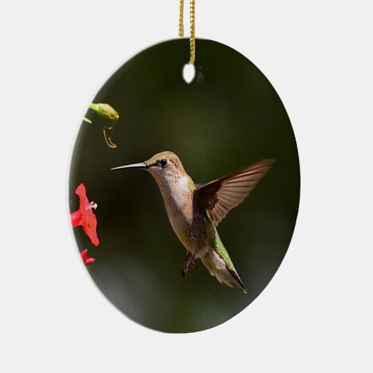 Hummingbird Ornament (Rechts)