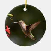 Hummingbird Ornament (Vorne)