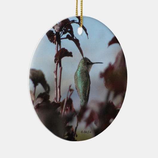 Hummingbird Ornament (Rechts)