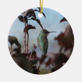 Hummingbird Ornament (Vorne)