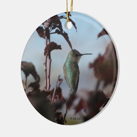 Hummingbird Ornament (Links)