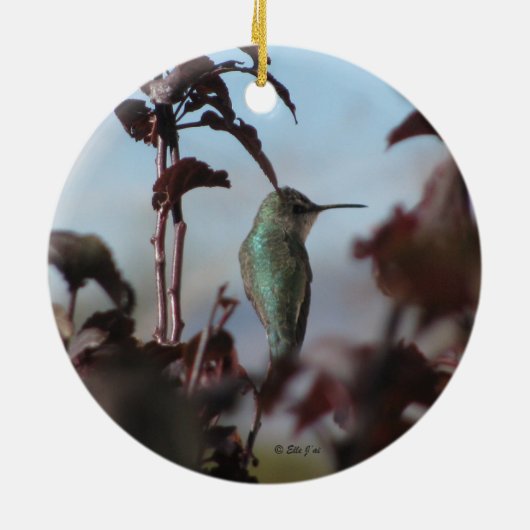 Hummingbird Ornament (Hinten)