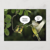 Hummingbird Ostergruss Feiertagspostkarte (Vorderseite)