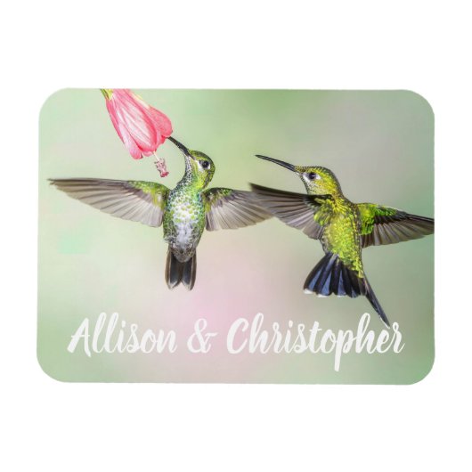 Hummingbird Paar Flying Together Personalized Magnet (Horizontal)