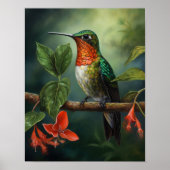 Hummingbird Painting Art Print Poster (Vorne)