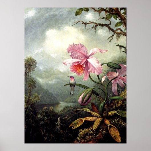 Hummingbird Perched, fine art, Poster (Vorne)