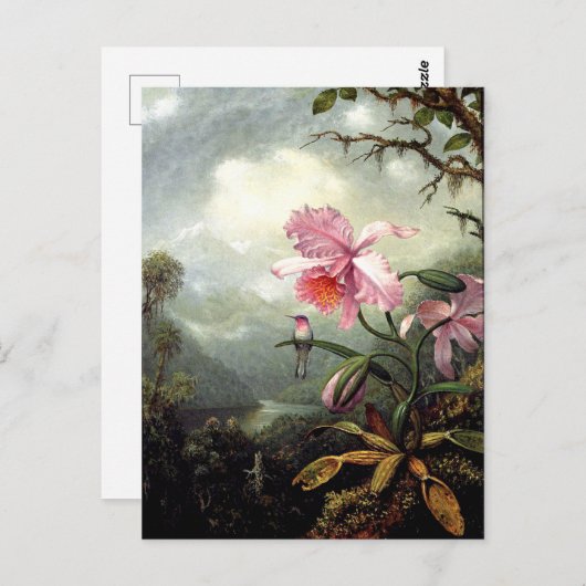 Hummingbird Perched, fine art, Postkarte (Vorne/Hinten)