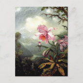 Hummingbird Perched, fine art, Postkarte (Vorderseite)