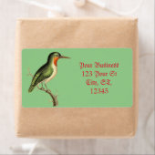 Hummingbird Perched Thunder_Cove (Insitu)