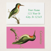 Hummingbird Perched Thunder_Cove (Vorne & Hinten)
