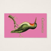 Hummingbird Perched Thunder_Cove (Rückseite)