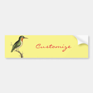Hummingbird Perched Thunder_Cove Autoaufkleber