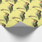 Hummingbird Perched Thunder_Cove Geschenkpapier (Ecke)
