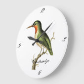 Hummingbird Perched Thunder_Cove Große Wanduhr (Winkel)