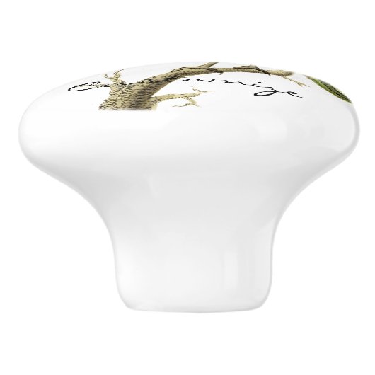 Hummingbird Perched Thunder_Cove Keramikknauf (Seitenansicht)