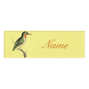 Hummingbird Perched Thunder_Cove Namenschild