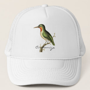Hummingbird Perched Thunder_Cove Truckerkappe