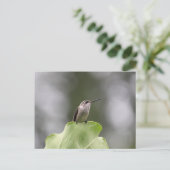 Hummingbird Perching Postcard Postkarte (Stehend Vorderseite)