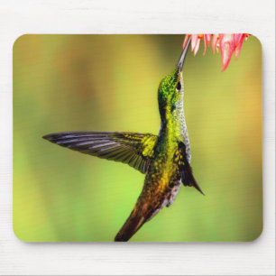 Hummingbird Pink Blume Bird Mousepad