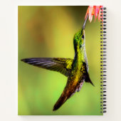 Hummingbird Pink Blume Bird Notizblock (Rückseite)